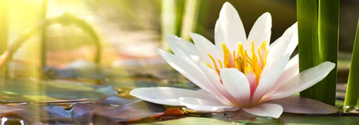 Chiropractic Dubuque IA A Healthier You For Life Chiropractic Dubuque IA A Healthier You For Life