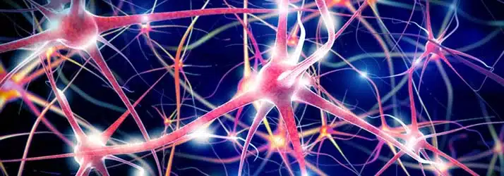 When’s The Best Time For Nervous System Healing in Dubuque IA?